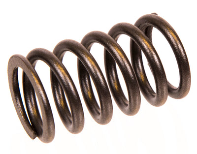 Valve spring D4, D6