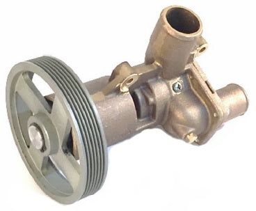 Sea water pump D4