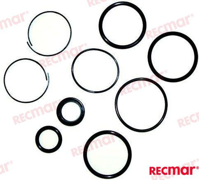DITCHUNGSSATZ FÜR ZYLINDER SX REC3854247